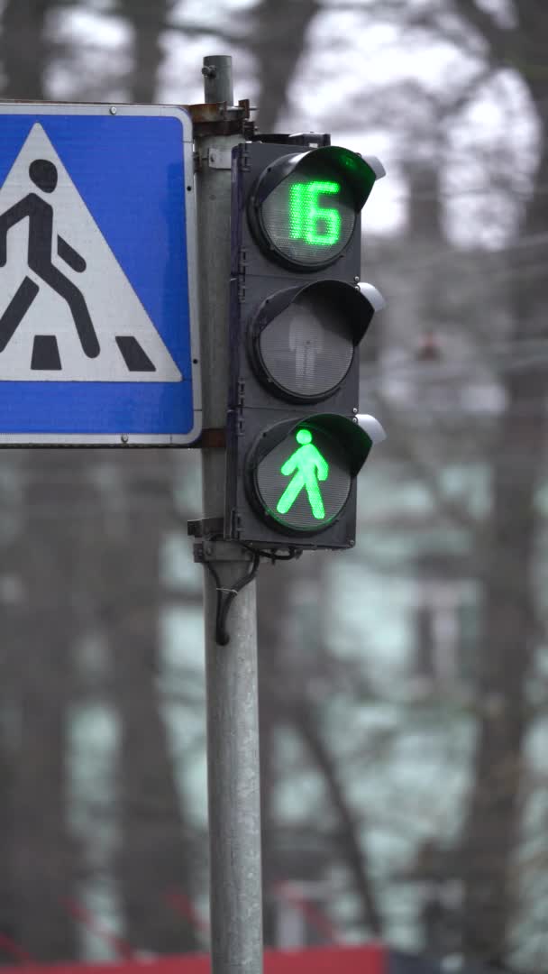 Vídeo vertical de un semáforo peatonal en la carretera — Vídeos de Stock