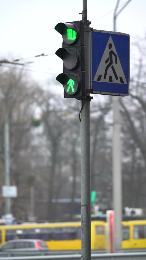 Vídeo vertical de um semáforo de pedestres na estrada — Vídeo de Stock