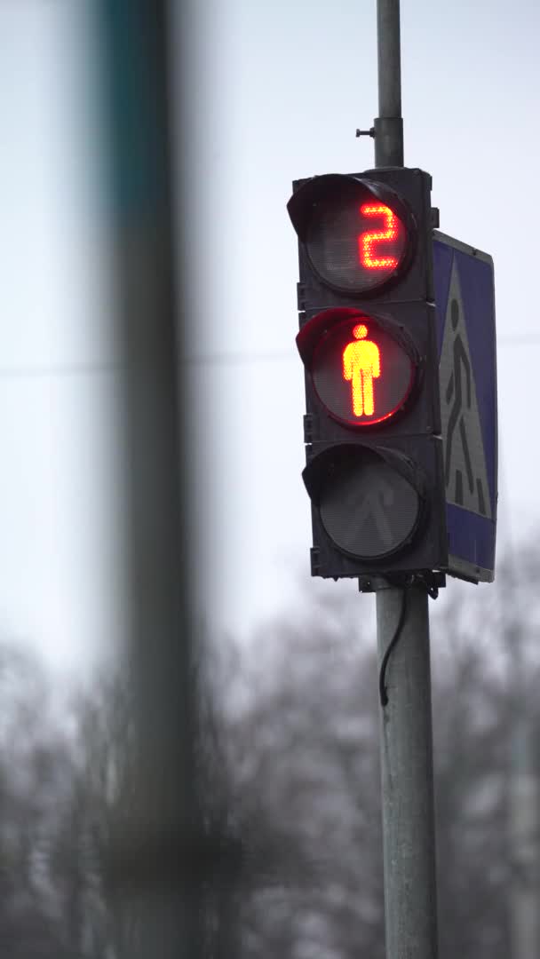 Vertikal video av ett trafikljus för fotgängare på vägen — Stockvideo