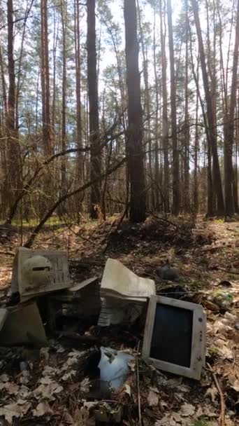 Verticale video van de computer op een autokerkhof in het bos, slow motion — Stockvideo