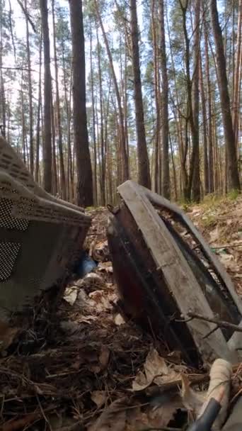 Ormandaki bir hurdalıkta bilgisayarın dikey videosu — Stok video