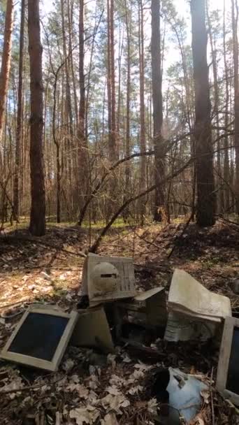 Verticale video van de computer op een autokerkhof in het bos — Stockvideo