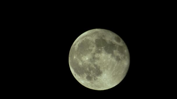 Luna llena en el cielo nocturno — Vídeos de Stock