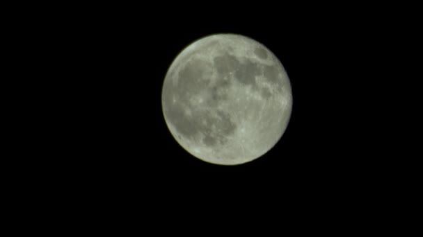 Volle maan aan de nachtelijke hemel — Stockvideo