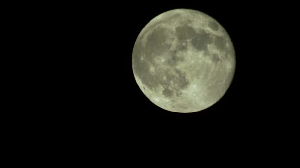 Pełnia księżyca na nocnym niebie — Wideo stockowe