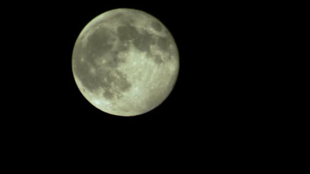 Volle maan aan de nachtelijke hemel — Stockvideo