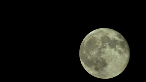 Полная луна в ночном небе — стоковое видео