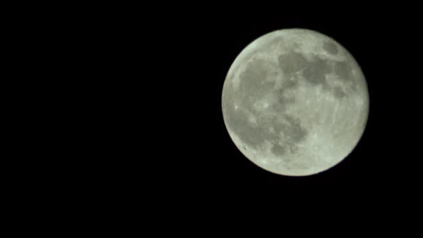 Luna piena nel cielo notturno — Video Stock