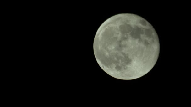 Volle maan aan de nachtelijke hemel — Stockvideo