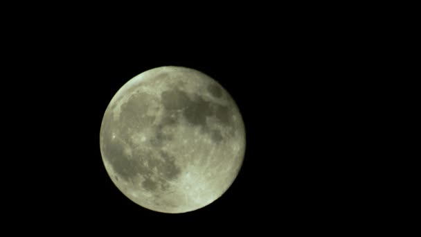 Full moon in the night sky — Stock Video