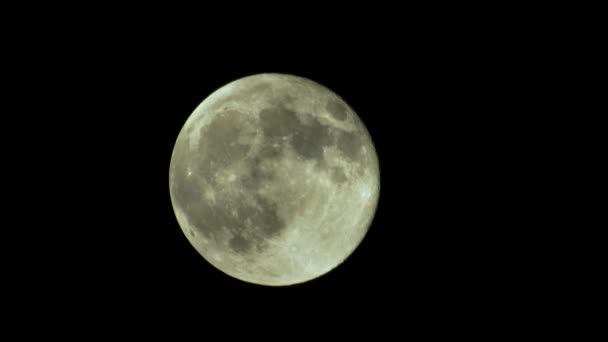 Volle maan aan de nachtelijke hemel — Stockvideo