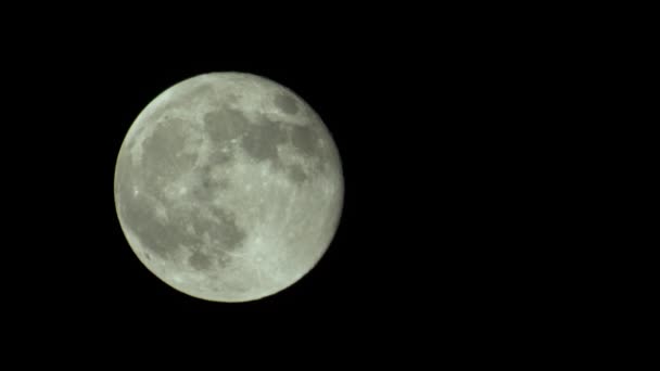 Volle maan aan de nachtelijke hemel — Stockvideo