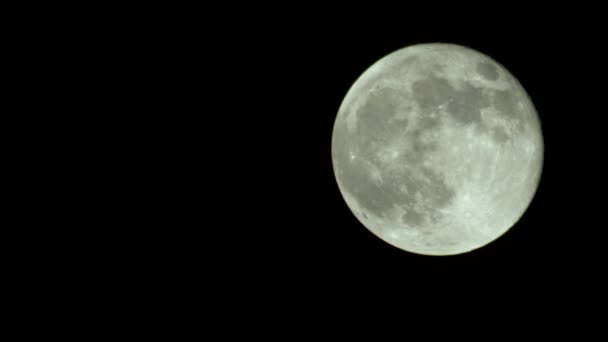 Lua cheia no céu noturno — Vídeo de Stock