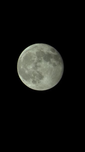 Verticale video van de volle maan aan de nachtelijke hemel — Stockvideo