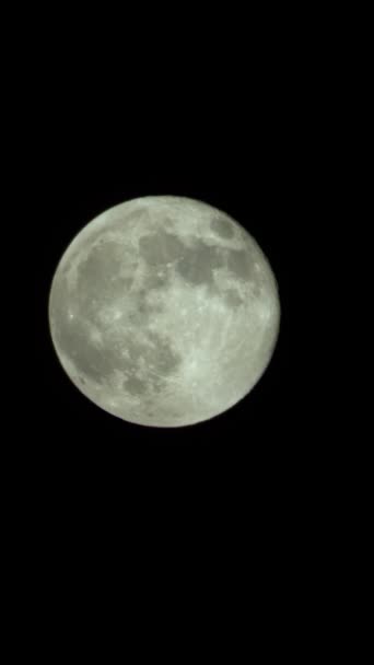 Vídeo vertical de la luna llena en el cielo nocturno — Vídeo de stock