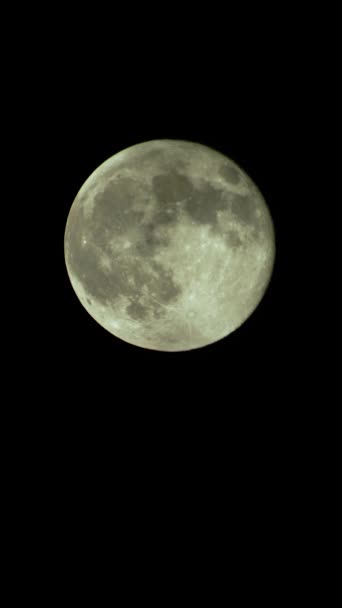 Vidéo verticale de la pleine lune dans le ciel nocturne — Video