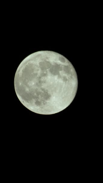 Vertical video of the full moon in the night sky — Stock Video