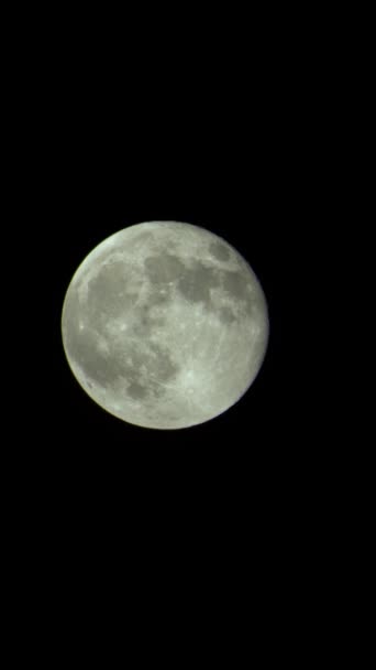 Vertical video of the full moon in the night sky — Stock Video