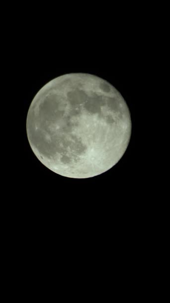 Gece gökyüzünde dolunayın dikey videosu — Stok video