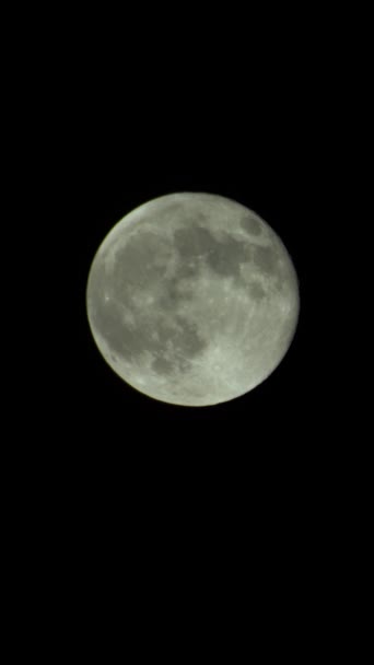 Verticale video van de volle maan aan de nachtelijke hemel — Stockvideo