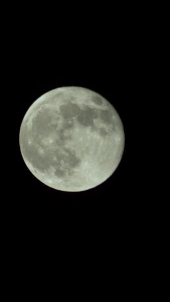 Vertical video of the full moon in the night sky — Stock Video