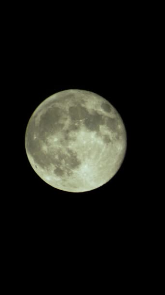 Vidéo verticale de la pleine lune dans le ciel nocturne — Video