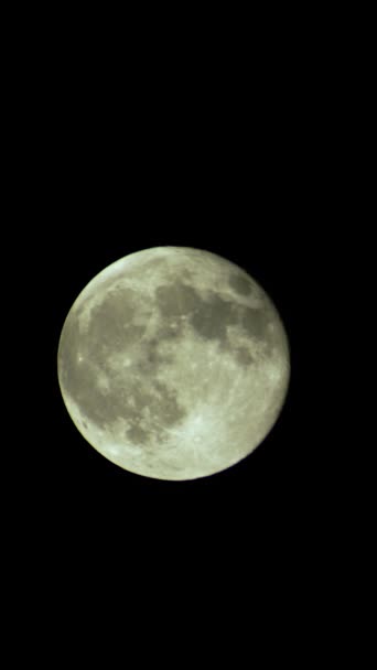 Vidéo verticale de la pleine lune dans le ciel nocturne — Video