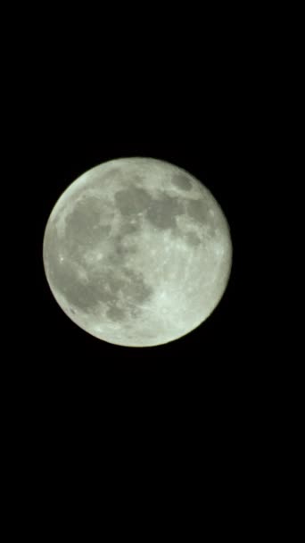 Vídeo vertical de la luna llena en el cielo nocturno — Vídeo de stock