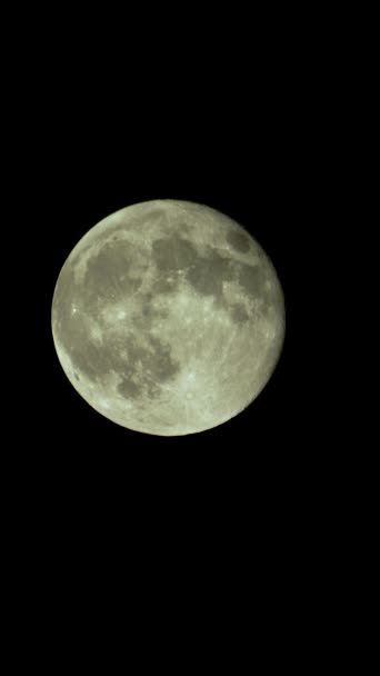 Vidéo verticale de la pleine lune dans le ciel nocturne — Video