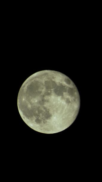 Vídeo vertical da lua cheia no céu noturno — Vídeo de Stock