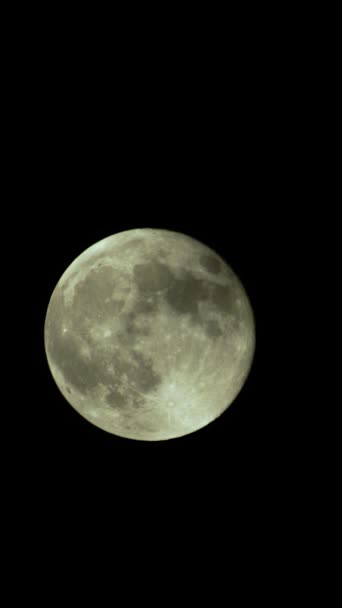 Vidéo verticale de la pleine lune dans le ciel nocturne — Video