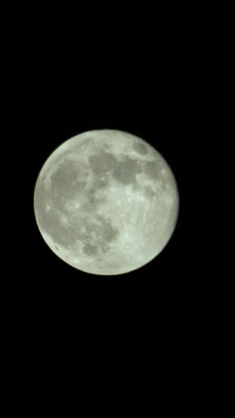 Vídeo vertical de la luna llena en el cielo nocturno — Vídeos de Stock