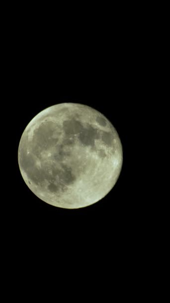 Vidéo verticale de la pleine lune dans le ciel nocturne — Video