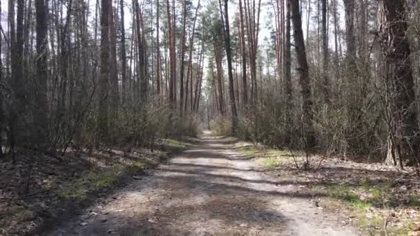 Luftaufnahme der Straße im Wald — Stockvideo