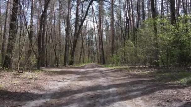 Luchtfoto van de weg in het bos — Stockvideo