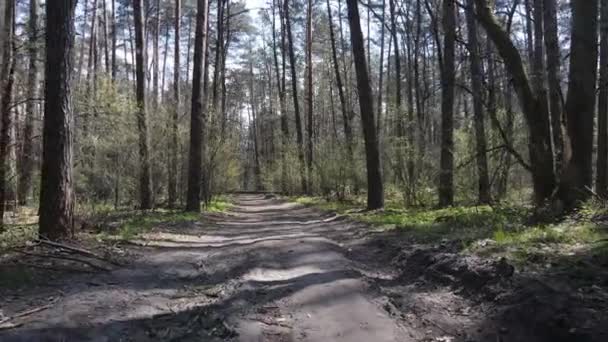 Vista aérea de la carretera dentro del bosque — Vídeo de stock