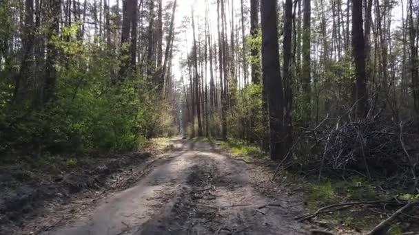 Vista aérea de la carretera dentro del bosque — Vídeos de Stock