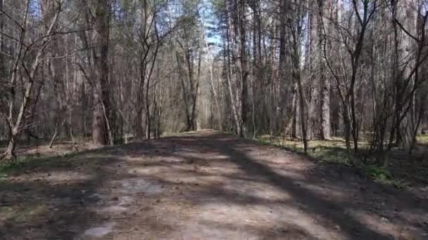 Luftaufnahme der Straße im Wald — Stockvideo