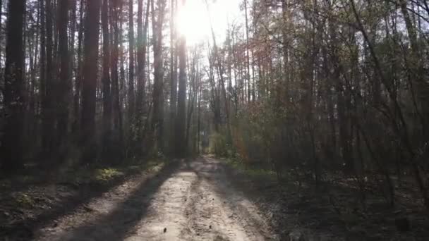 Вид с воздуха на дорогу внутри леса — стоковое видео