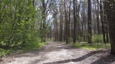 Ormanın içindeki yolun havadan görüntüsü.