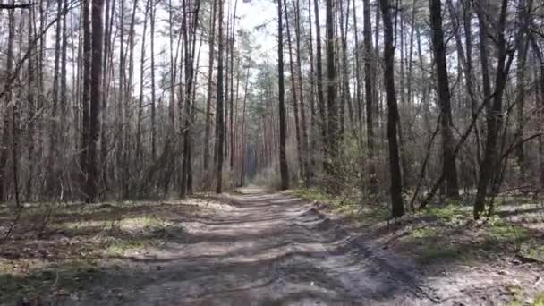 Αεροφωτογραφία του δρόμου μέσα στο δάσος — Αρχείο Βίντεο