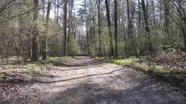 Ormanın içindeki yolun havadan görüntüsü.