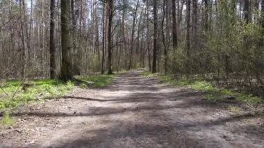 Ormanın içindeki yolun havadan görüntüsü.