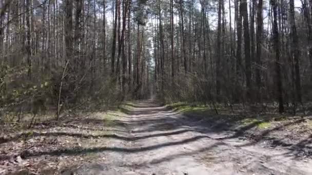 Aerial view of the road inside the forest — Stock Video