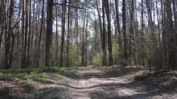 숲 속 도로를 공중에서 내려다본 모습 — 비디오