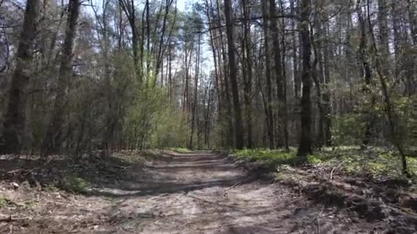 Luftaufnahme der Straße im Wald — Stockvideo