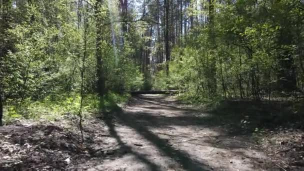 Floresta verde durante o dia, vista aérea — Vídeo de Stock