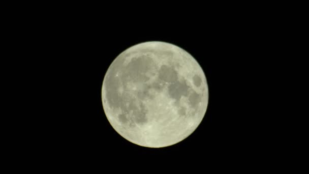 Luna piena nel buio cielo notturno — Video Stock