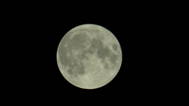 Full moon in the dark night sky — Stock Video