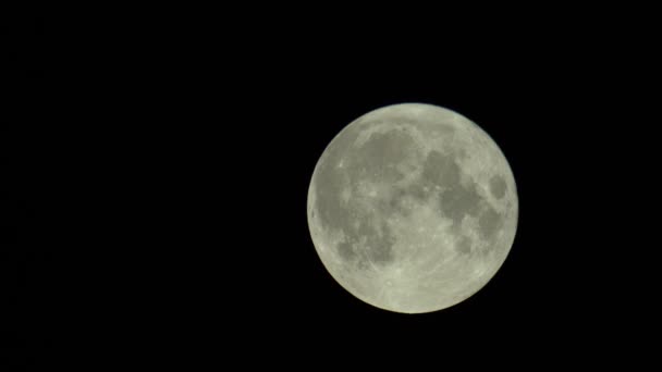 Volle maan aan de donkere nachtelijke hemel — Stockvideo